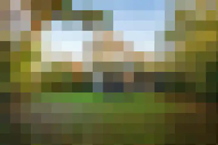 Koningsweg 38 Oosterend thumbnail 5