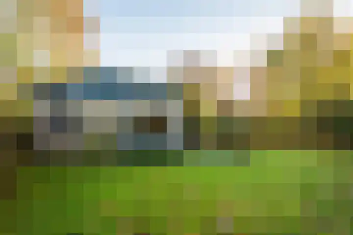 Koningsweg 38 Oosterend thumbnail 6