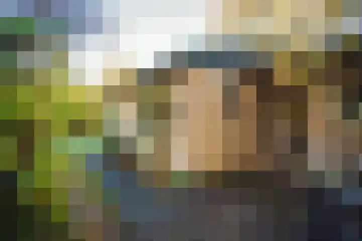 Koningsweg 38 Oosterend thumbnail 7