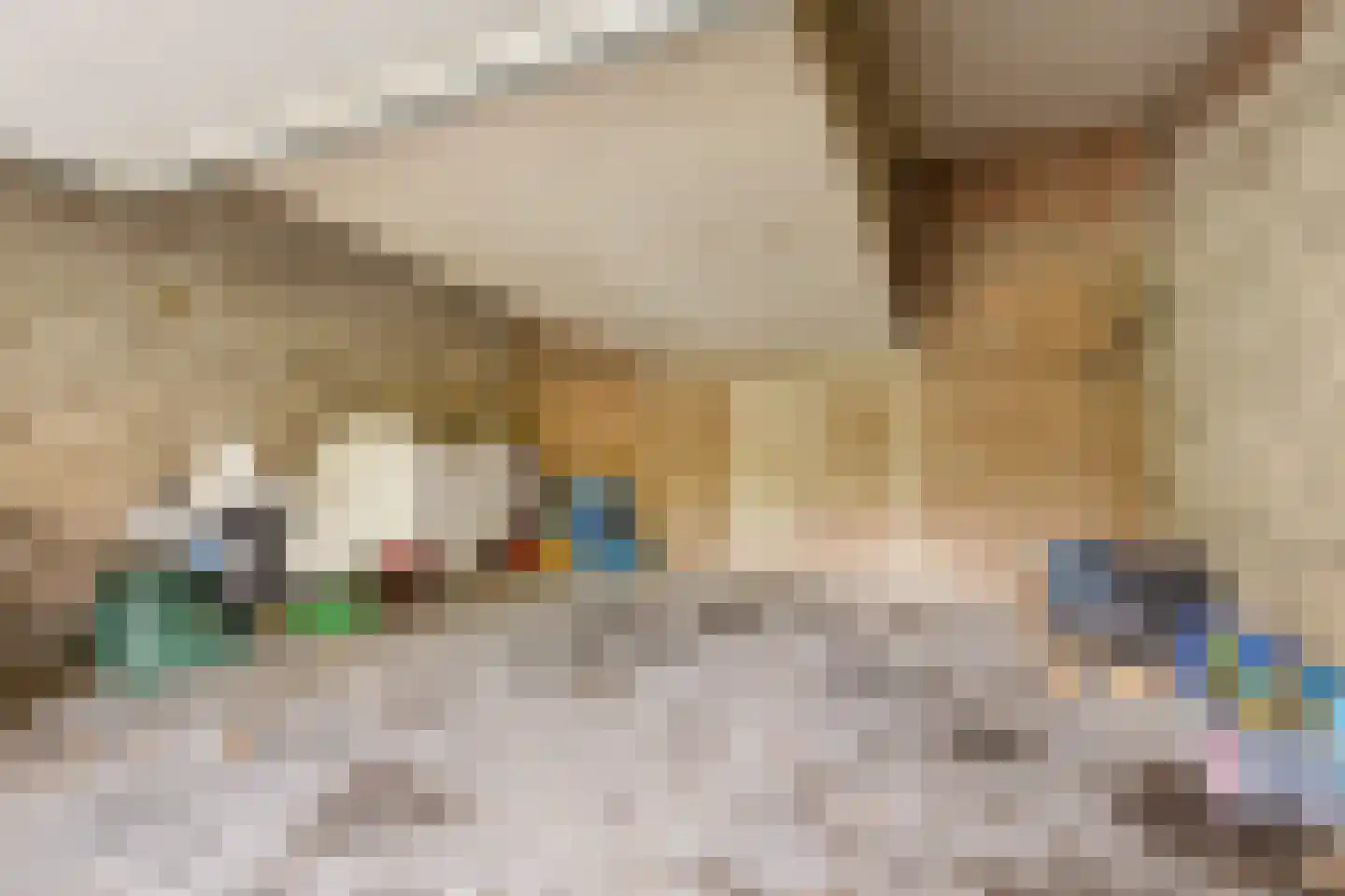 Koningsweg 40 Utrecht thumbnail 5