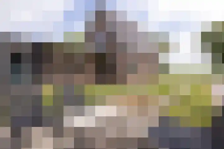 Koningsweg 42 Westerland thumbnail 12
