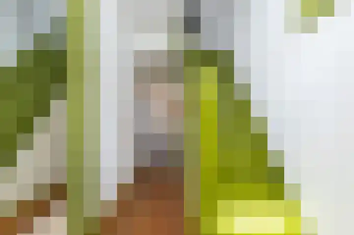 Koningsweg 42 Westerland thumbnail 14