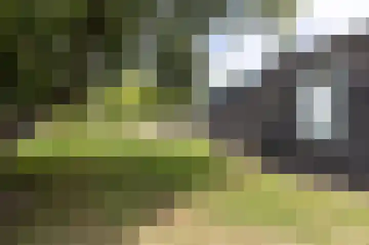 Koningsweg 42 Westerland thumbnail 22
