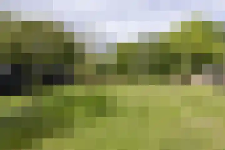 Koningsweg 42 Westerland thumbnail 23