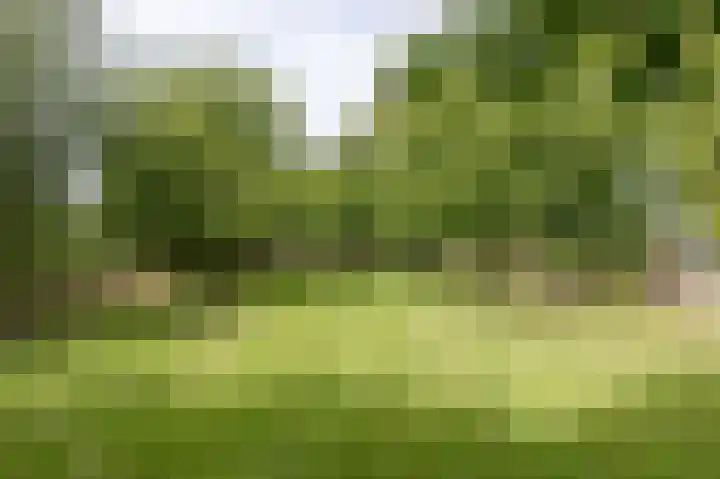 Koningsweg 42 Westerland thumbnail 25