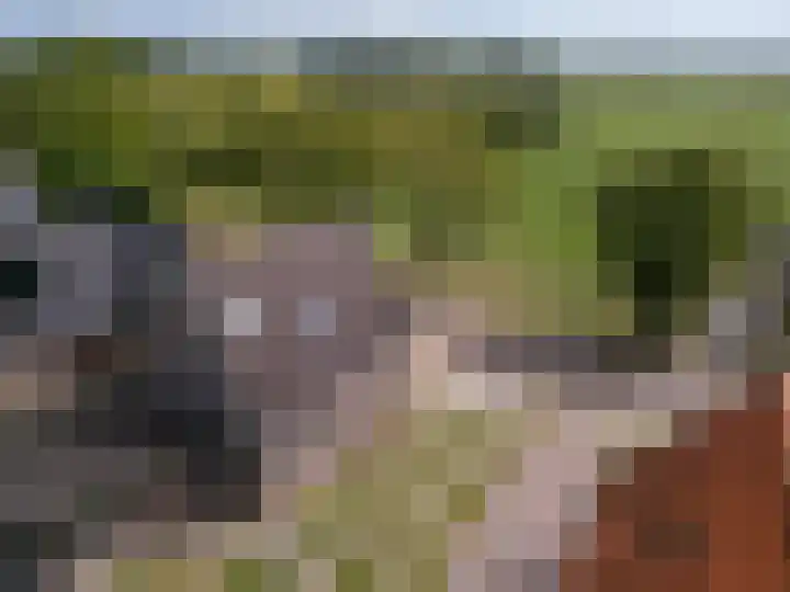 Koningsweg 42 Westerland thumbnail 28