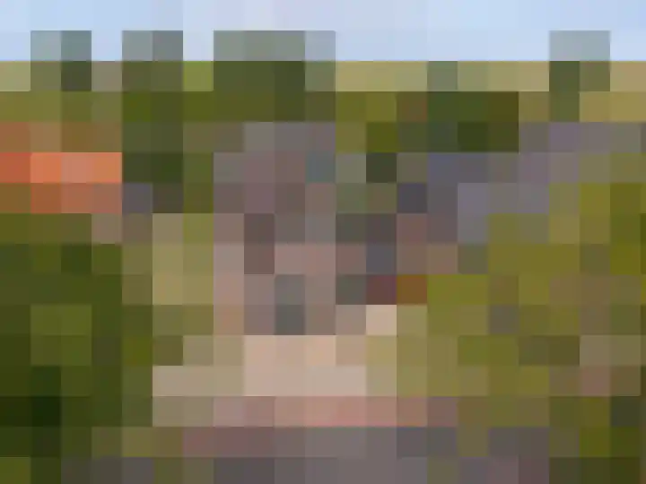 Koningsweg 42 Westerland thumbnail 29