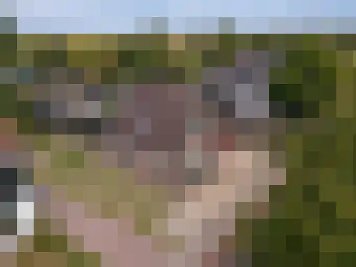 Koningsweg 42 Westerland thumbnail 4