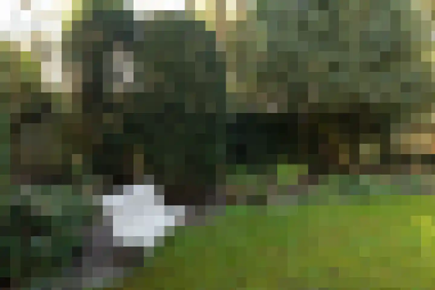 Koningsweg 45 Baarn thumbnail 39