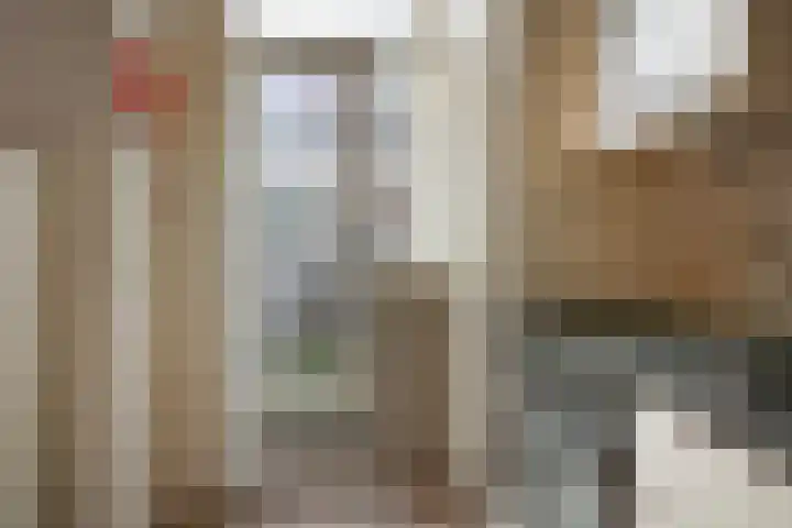 Koningsweg 47 Alkmaar thumbnail 14