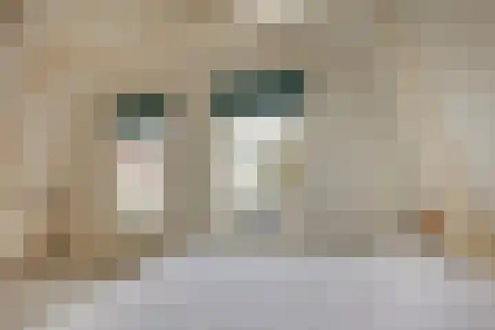 Koningsweg 47 Alkmaar thumbnail 16