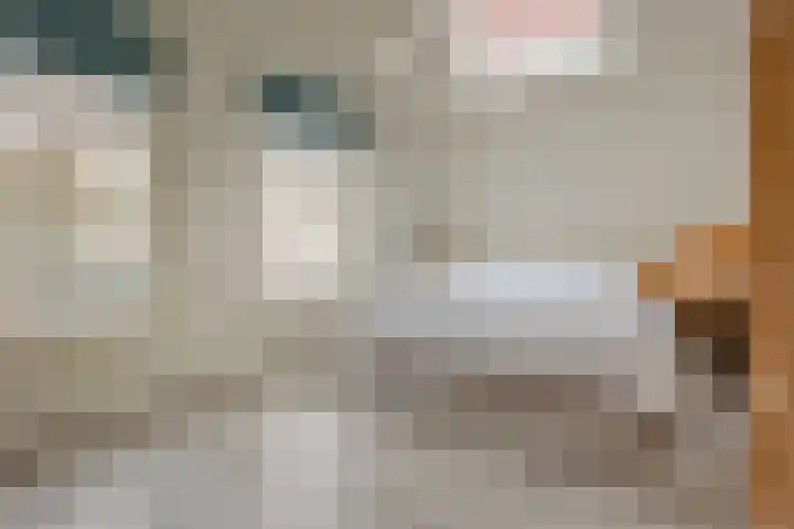 Koningsweg 47 Alkmaar thumbnail 4