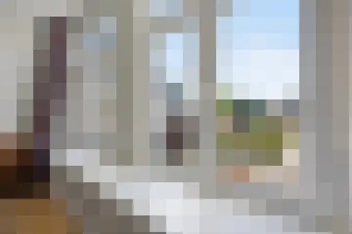 Koningsweg 47 F 's-Hertogenbosch thumbnail 30