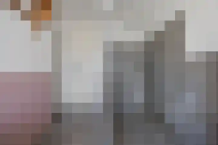 Koningsweg 47 F 's-Hertogenbosch thumbnail 34