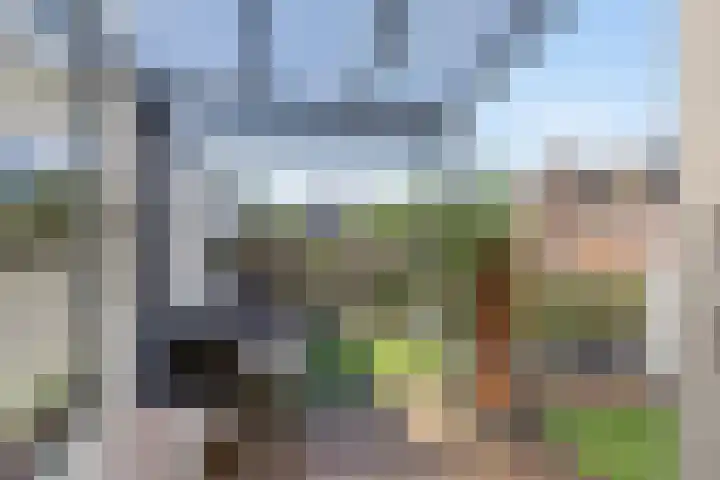 Koningsweg 47 F 's-Hertogenbosch thumbnail 39