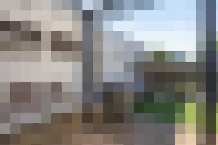 Koningsweg 47 F 's-Hertogenbosch thumbnail 41