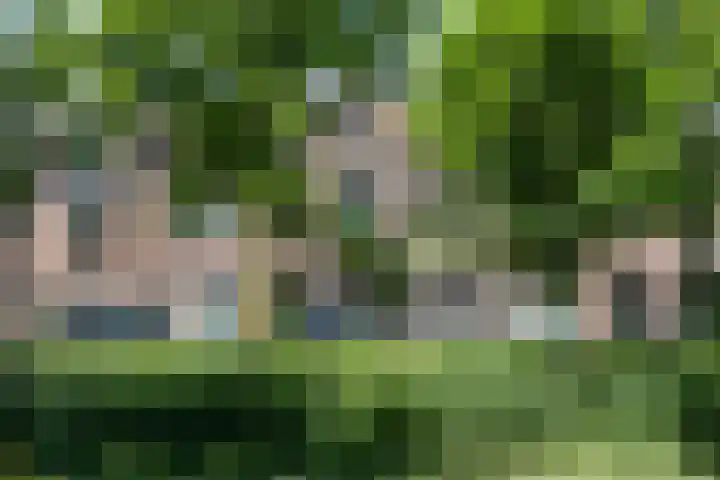 Koningsweg 47 F 's-Hertogenbosch thumbnail 43