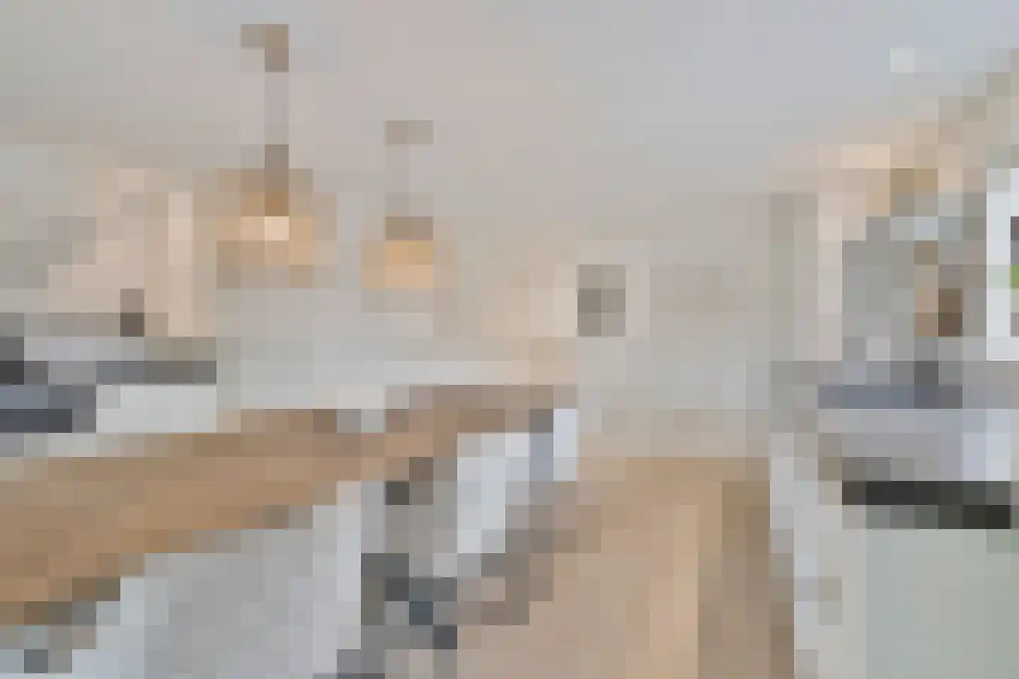 Koningsweg 5 Breezand thumbnail 14