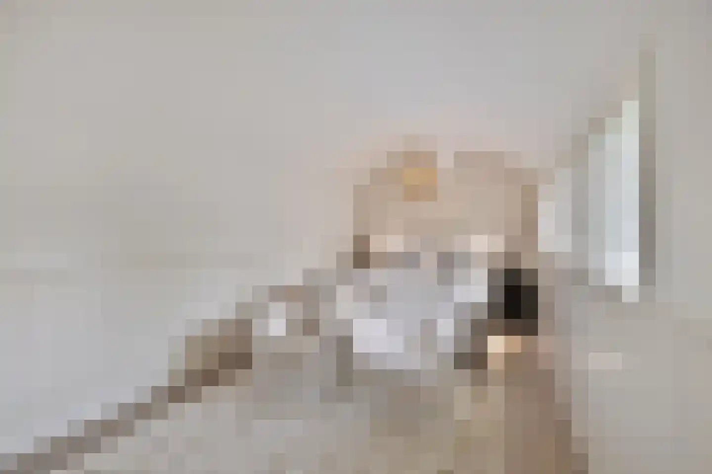 Koningsweg 5 Breezand thumbnail 21