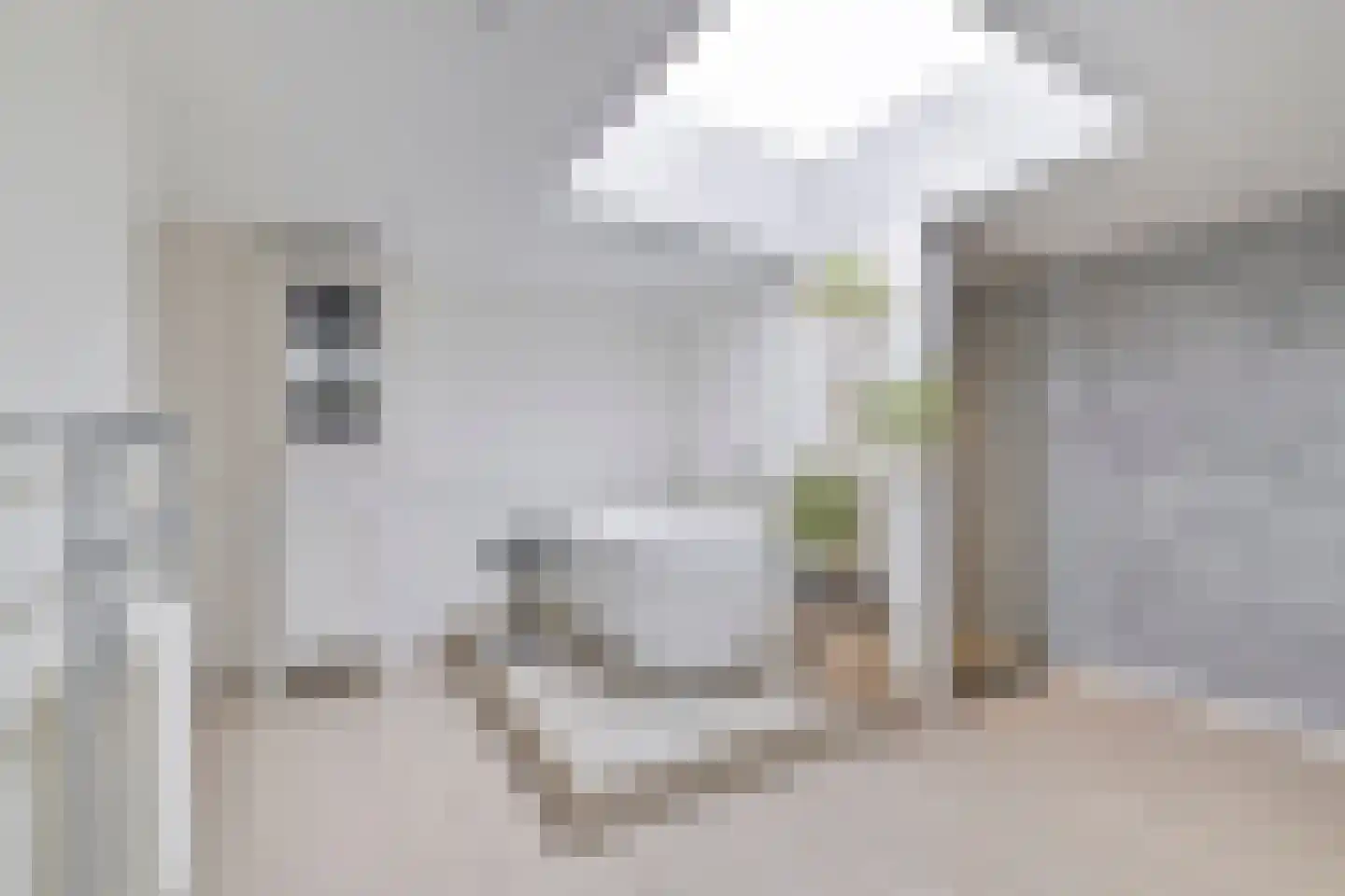 Koningsweg 5 Breezand thumbnail 23