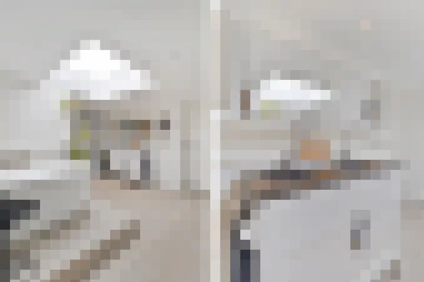 Koningsweg 5 Breezand thumbnail 27