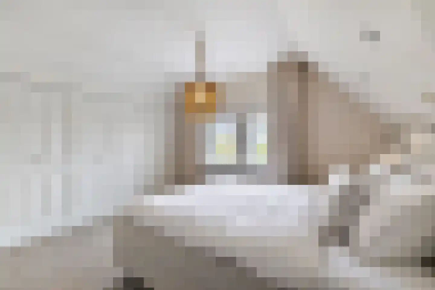 Koningsweg 5 Breezand thumbnail 33