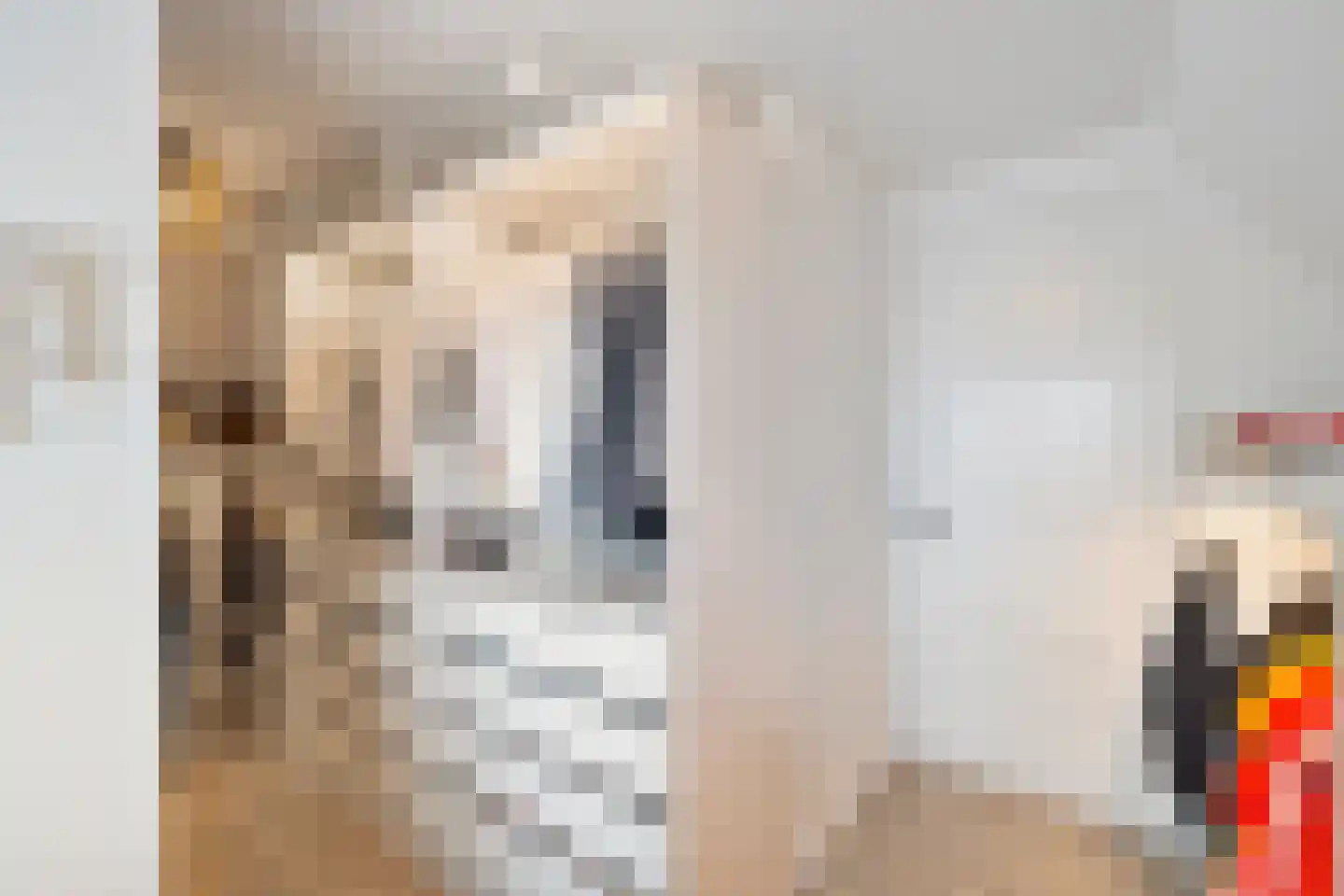 Koningsweg 5 Breezand thumbnail 37