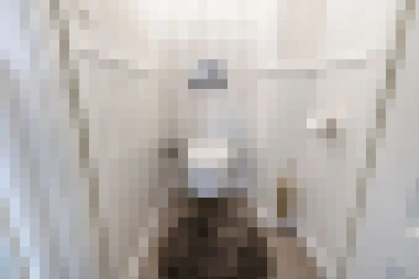 Koningsweg 5 Breezand thumbnail 42