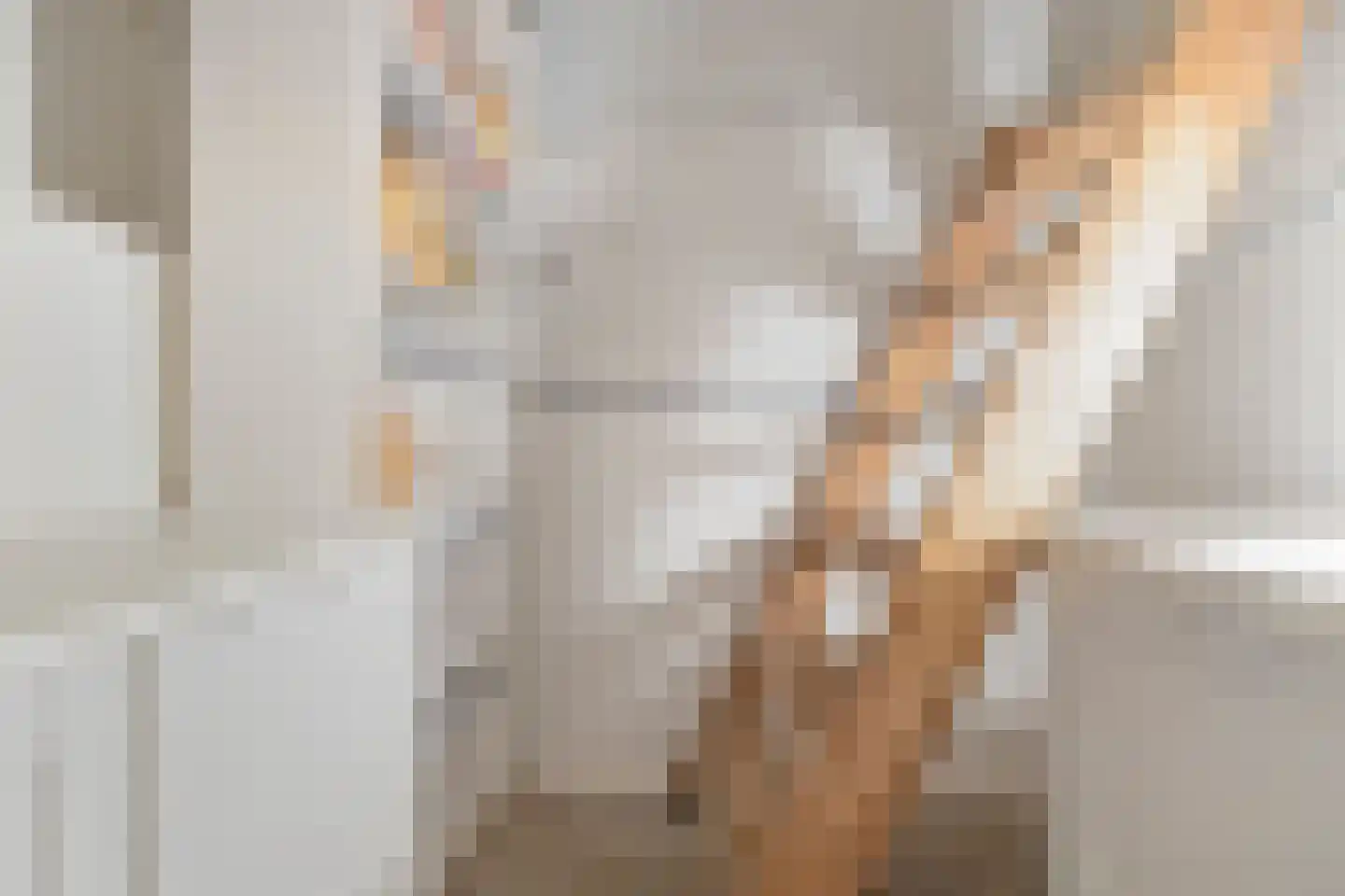 Koningsweg 5 Breezand thumbnail 46