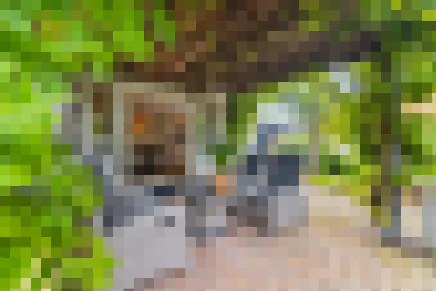 Koningsweg 5 Breezand thumbnail 52