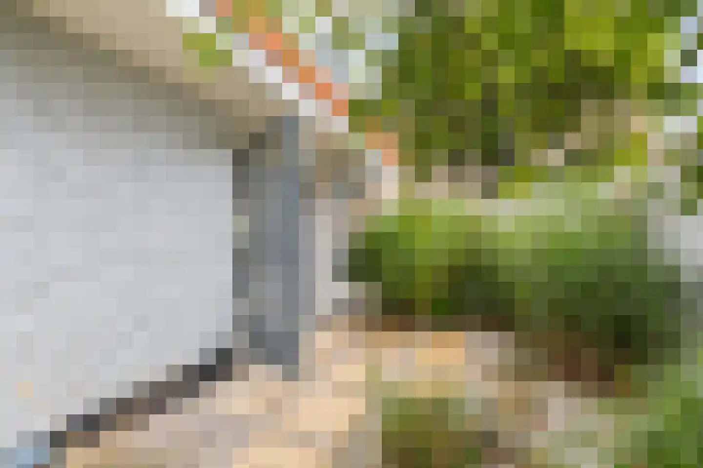 Koningsweg 5 Breezand thumbnail 57