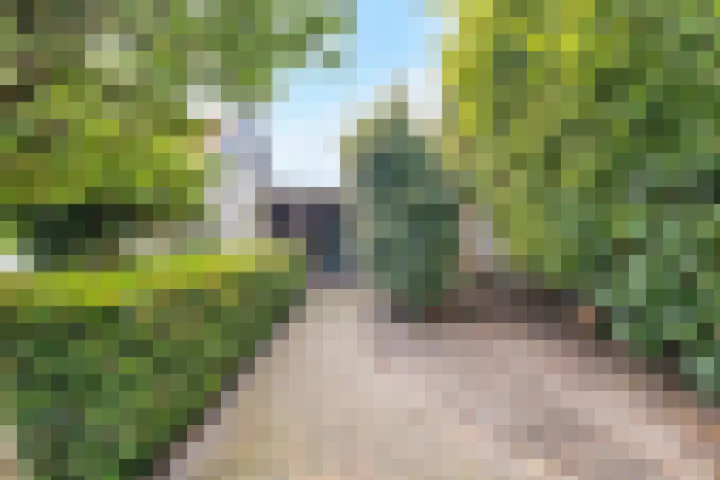 Koningsweg 5 Breezand thumbnail 60