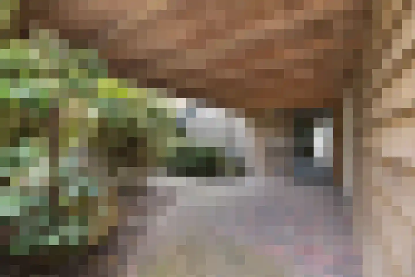 Koningsweg 5 Breezand thumbnail 61