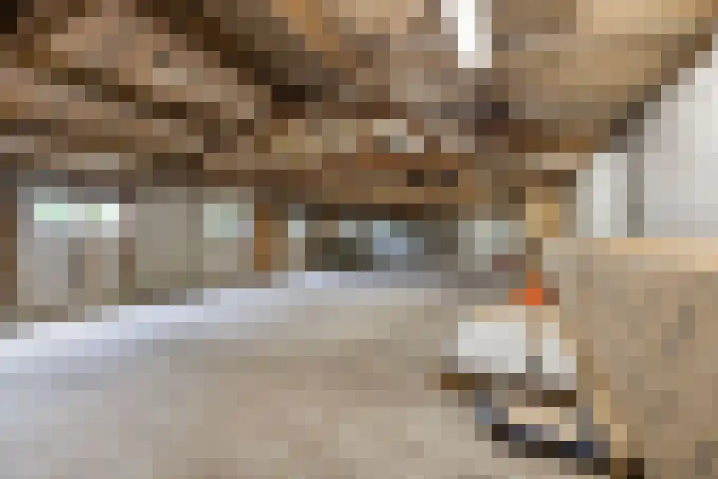 Koningsweg 5 Breezand thumbnail 67