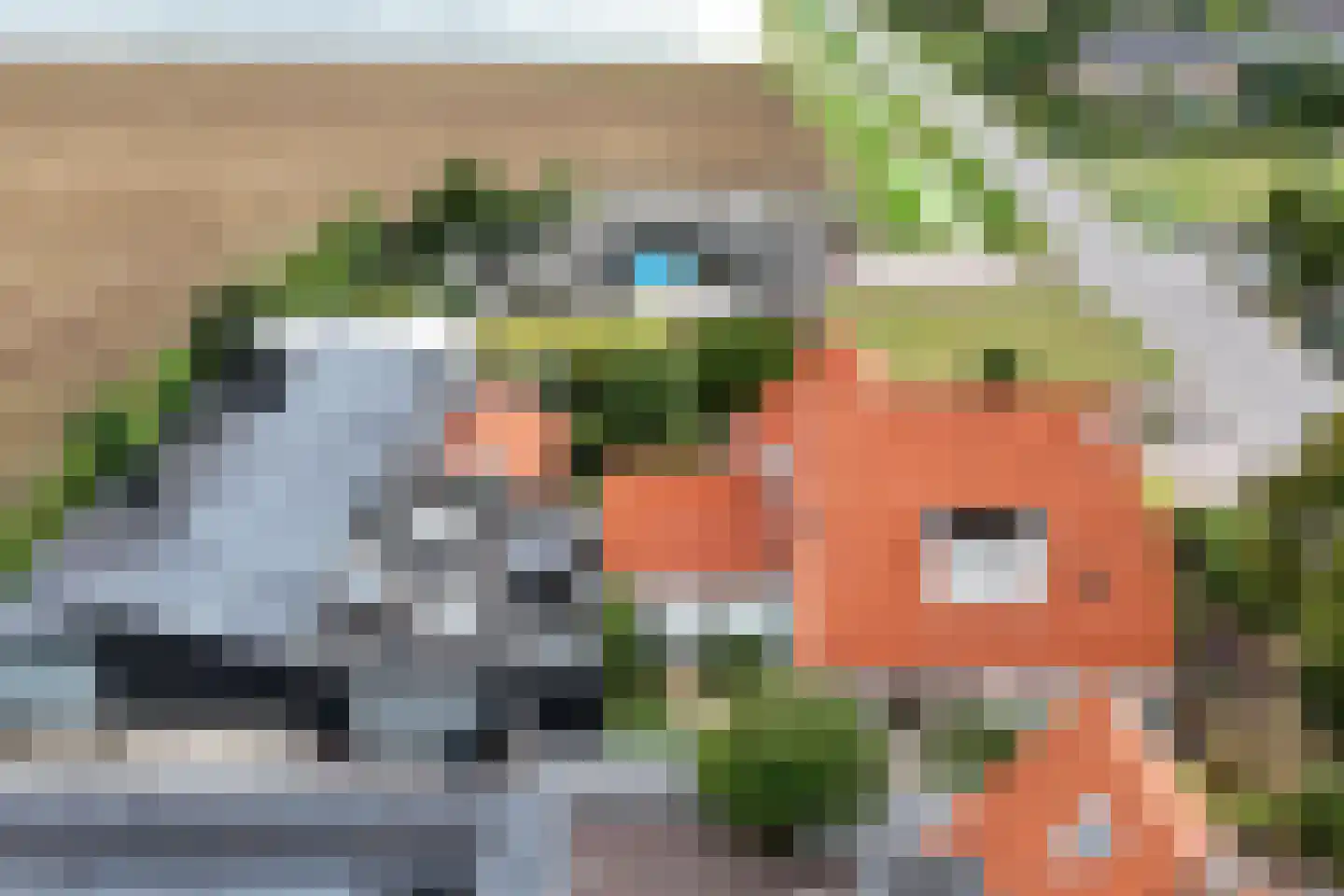 Koningsweg 5 Breezand thumbnail 76