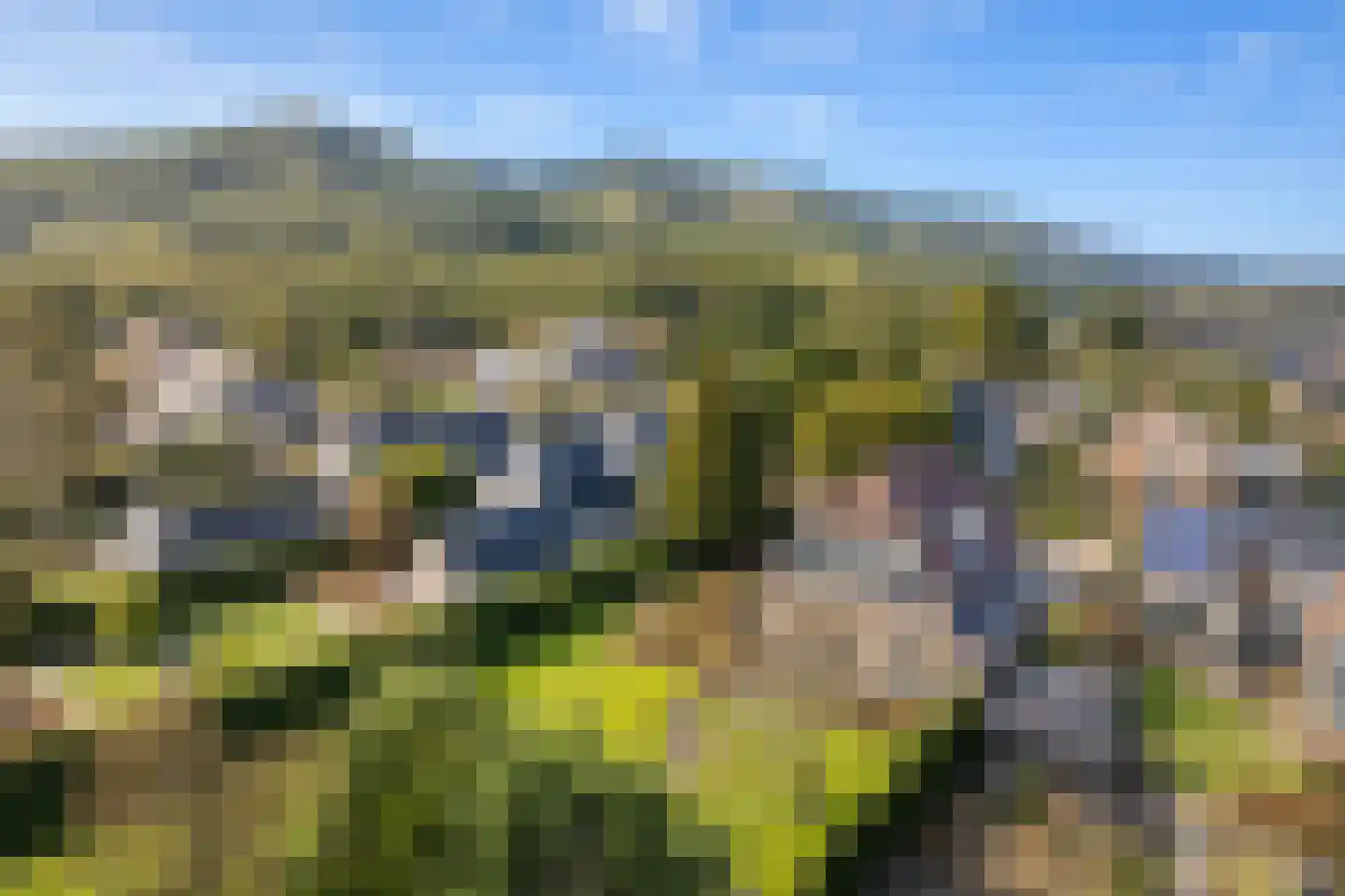 Koningsweg 5 Schoorl