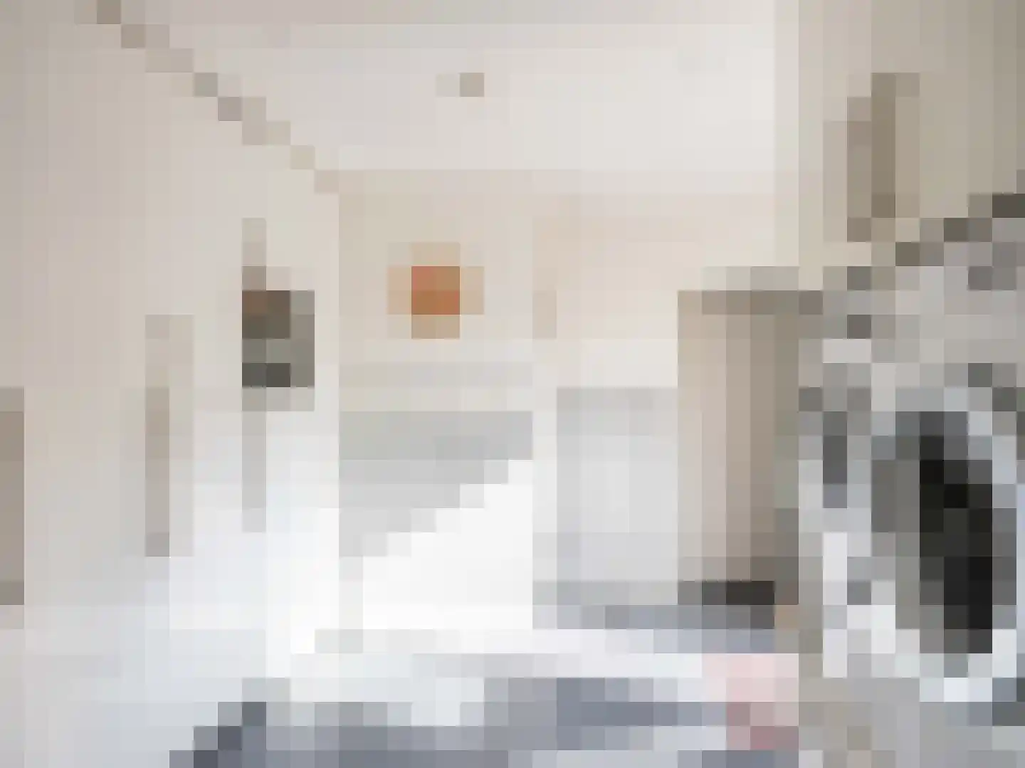 Koningsweg 5 Schoorl thumbnail 21