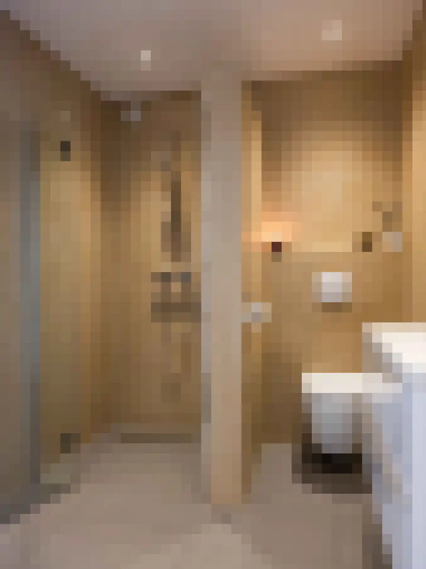 Koningsweg 5 Schoorl thumbnail 25