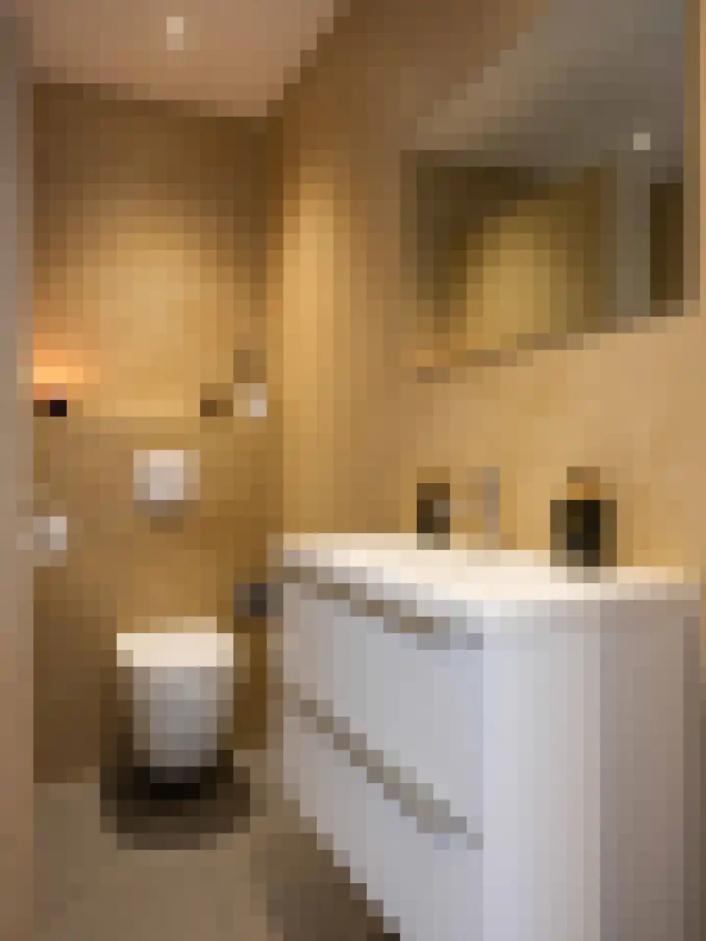 Koningsweg 5 Schoorl thumbnail 26
