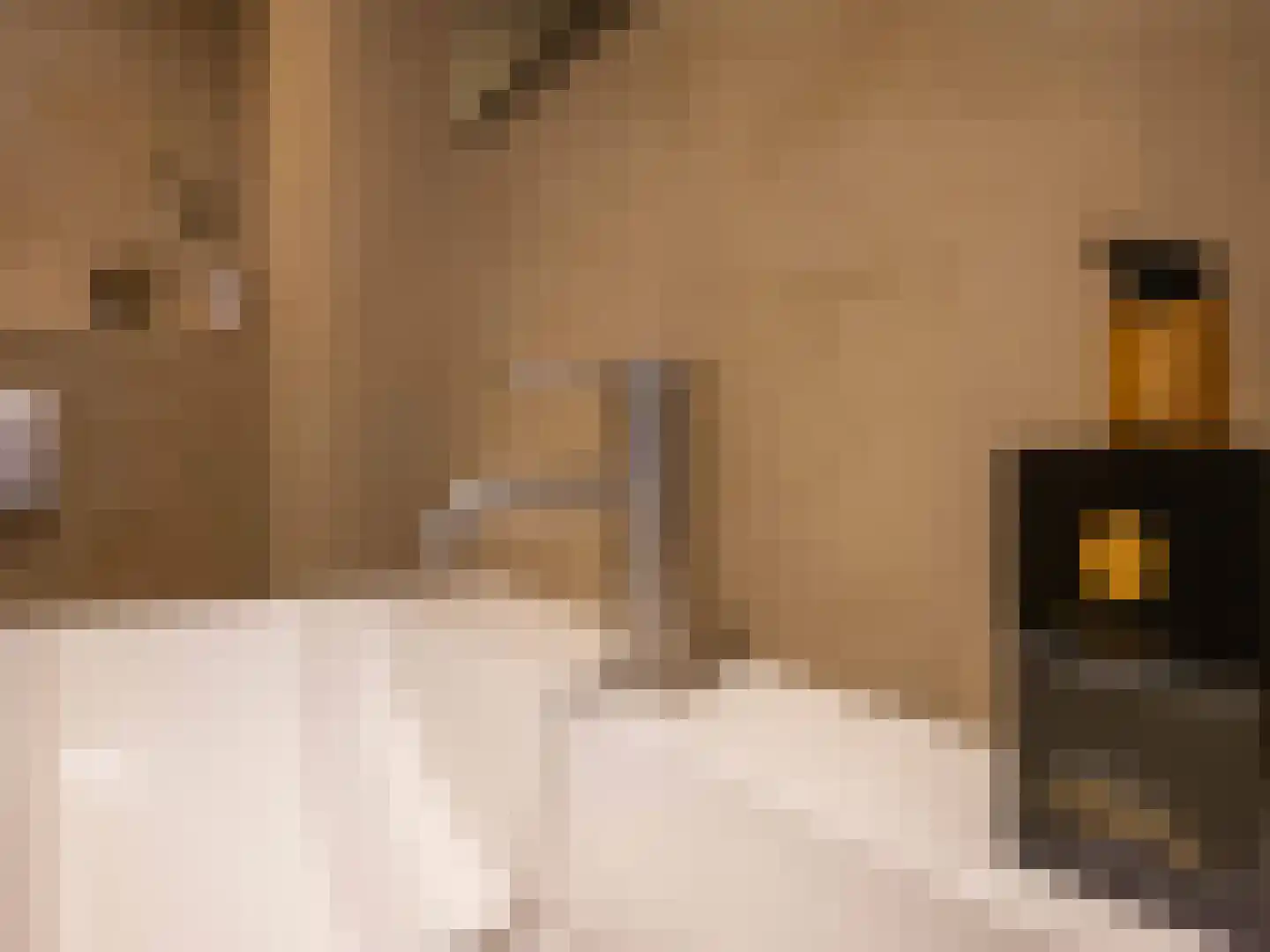 Koningsweg 5 Schoorl thumbnail 27