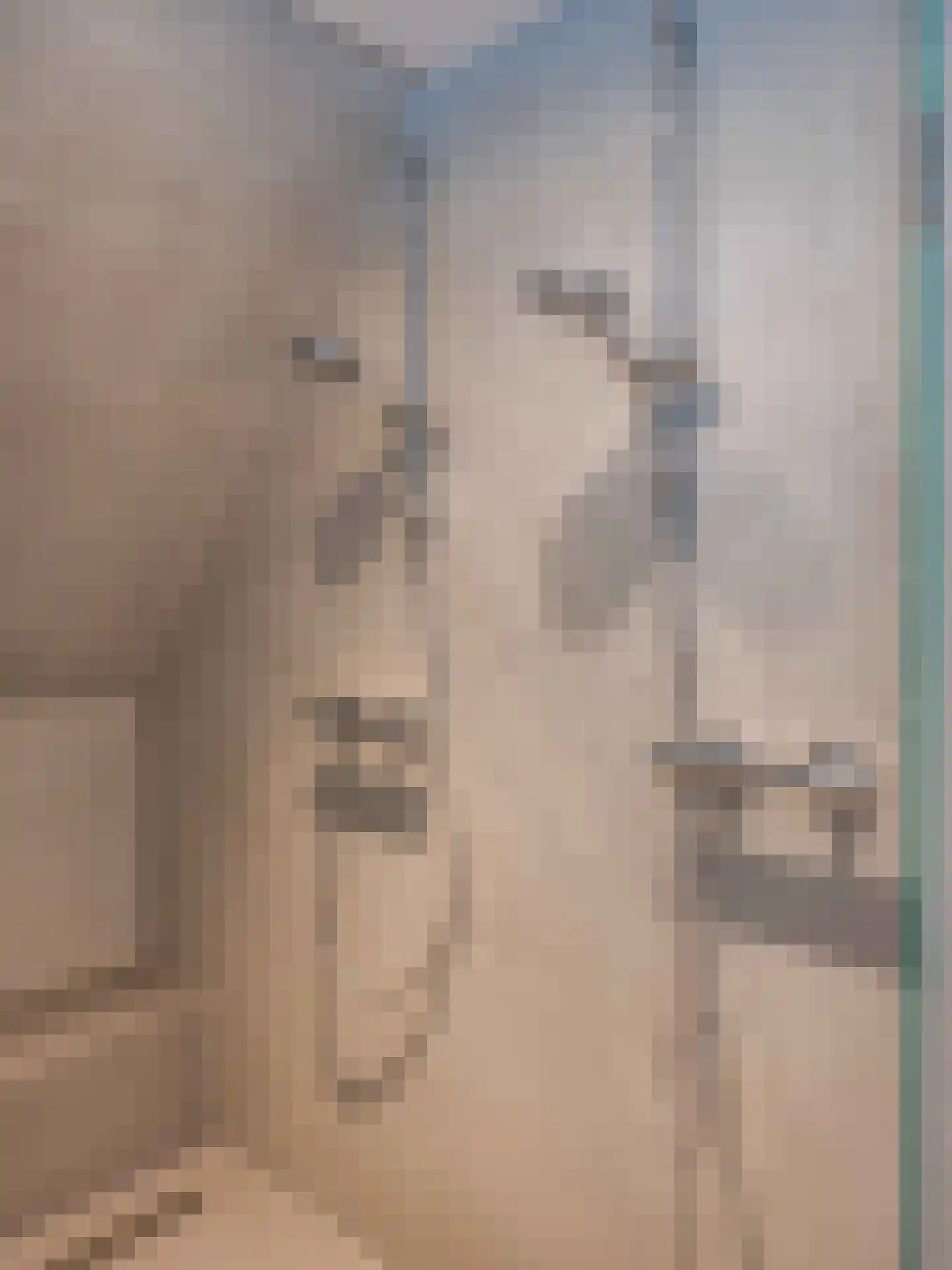 Koningsweg 5 Schoorl thumbnail 35