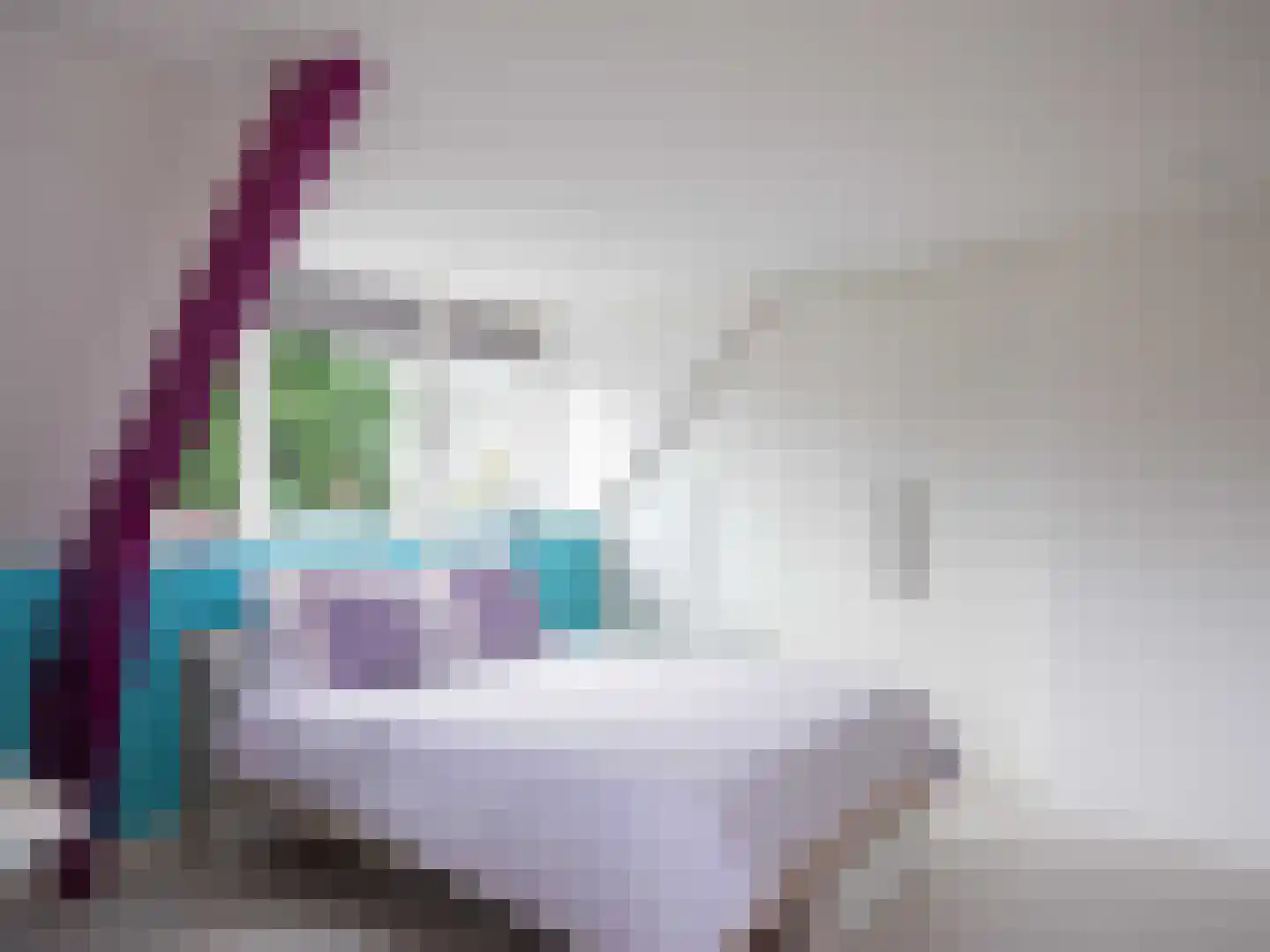 Koningsweg 5 Schoorl thumbnail 38