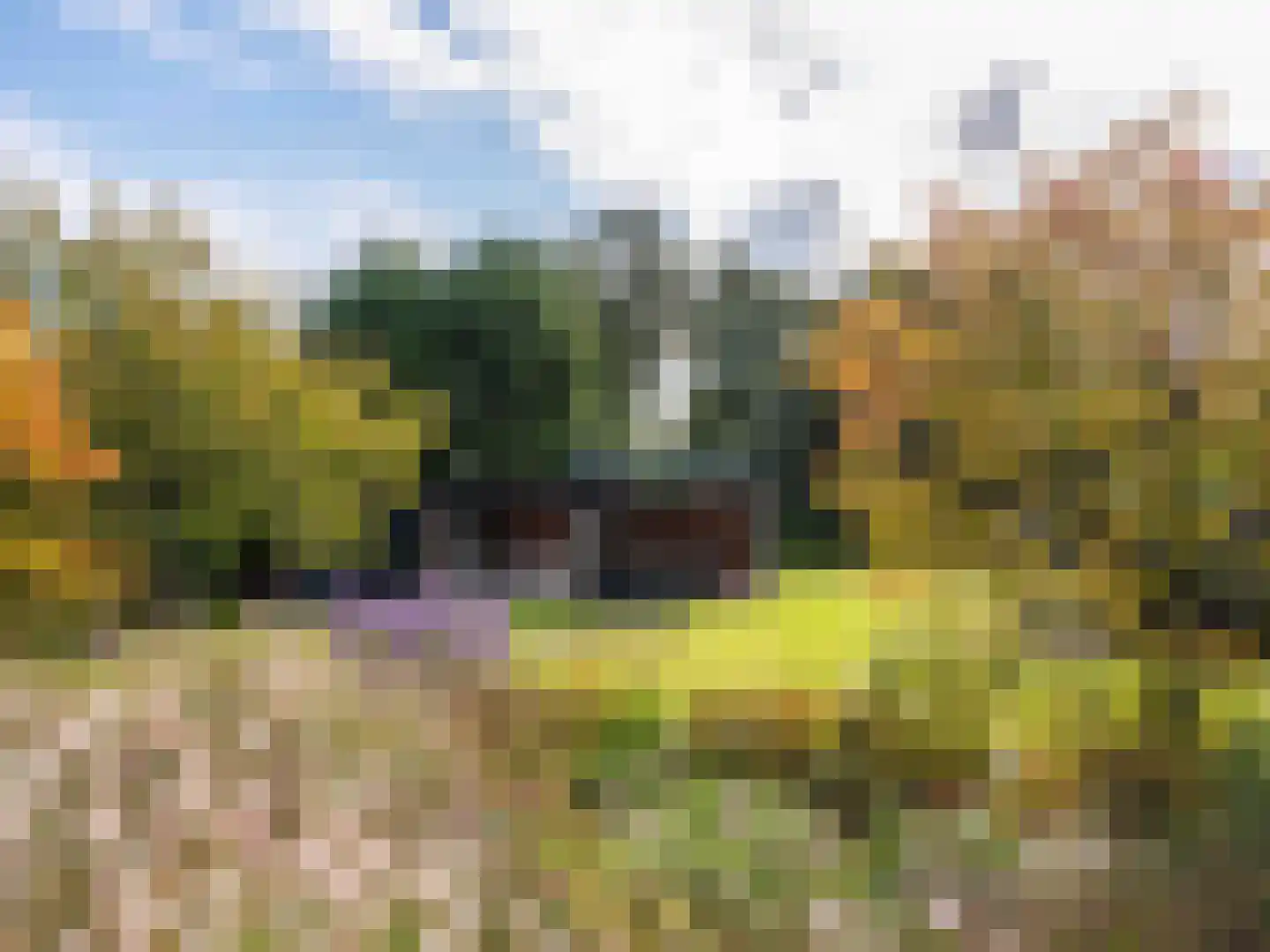 Koningsweg 5 Schoorl thumbnail 44