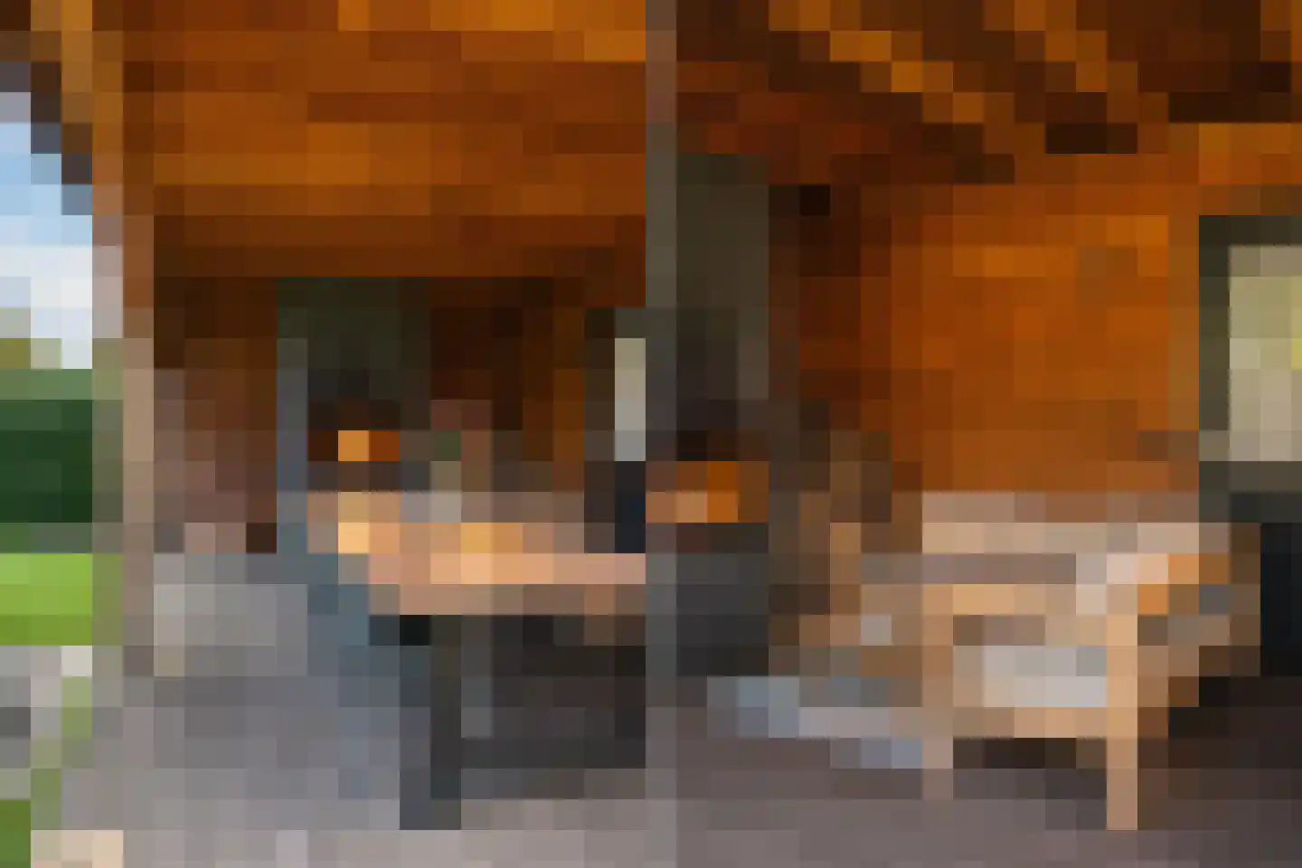 Koningsweg 5 Schoorl thumbnail 45