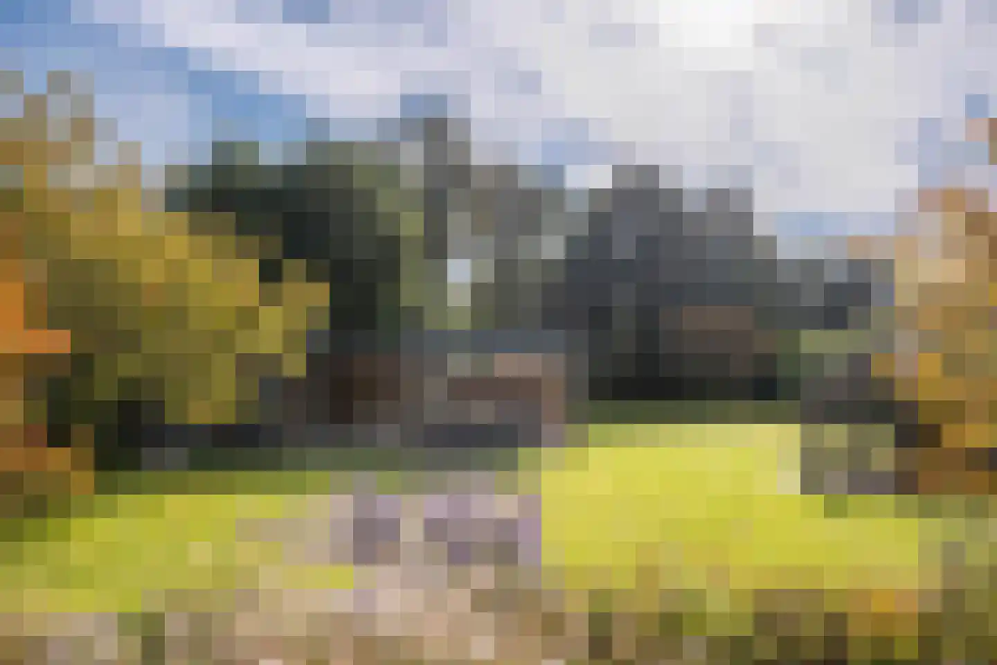 Koningsweg 5 Schoorl thumbnail 46