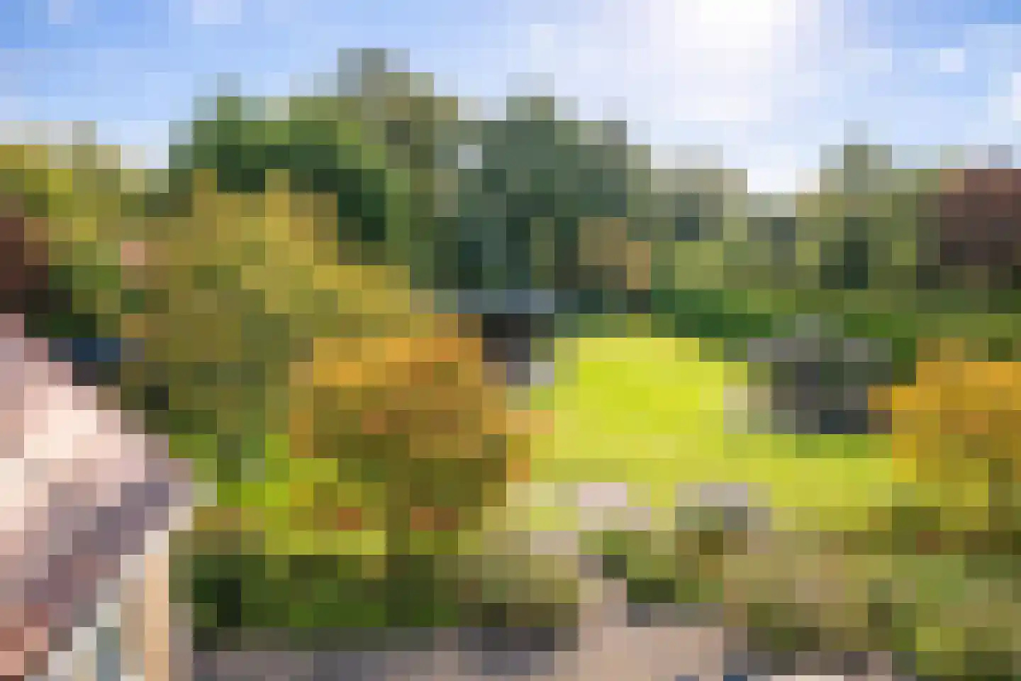 Koningsweg 5 Schoorl thumbnail 49