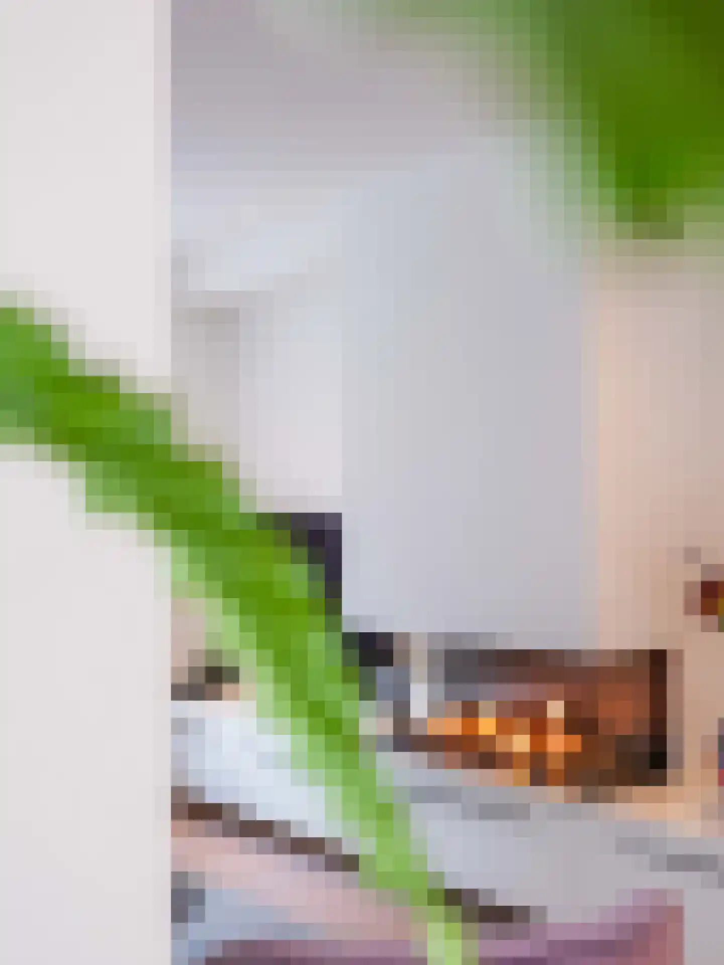 Koningsweg 5 Schoorl thumbnail 5