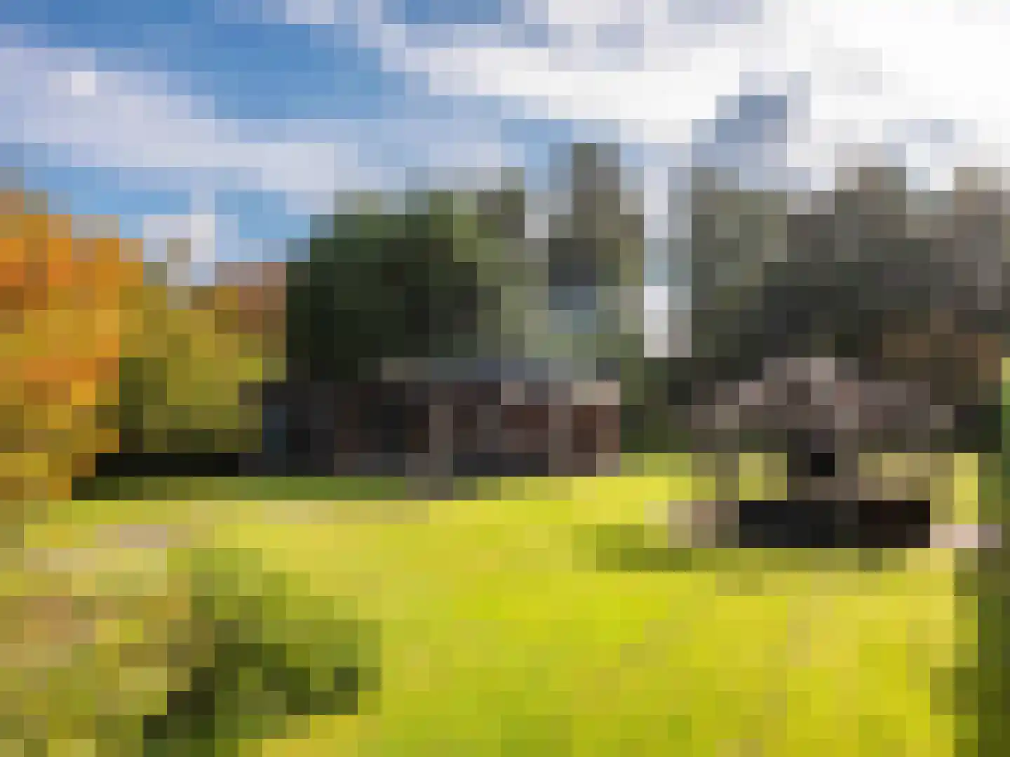 Koningsweg 5 Schoorl thumbnail 51