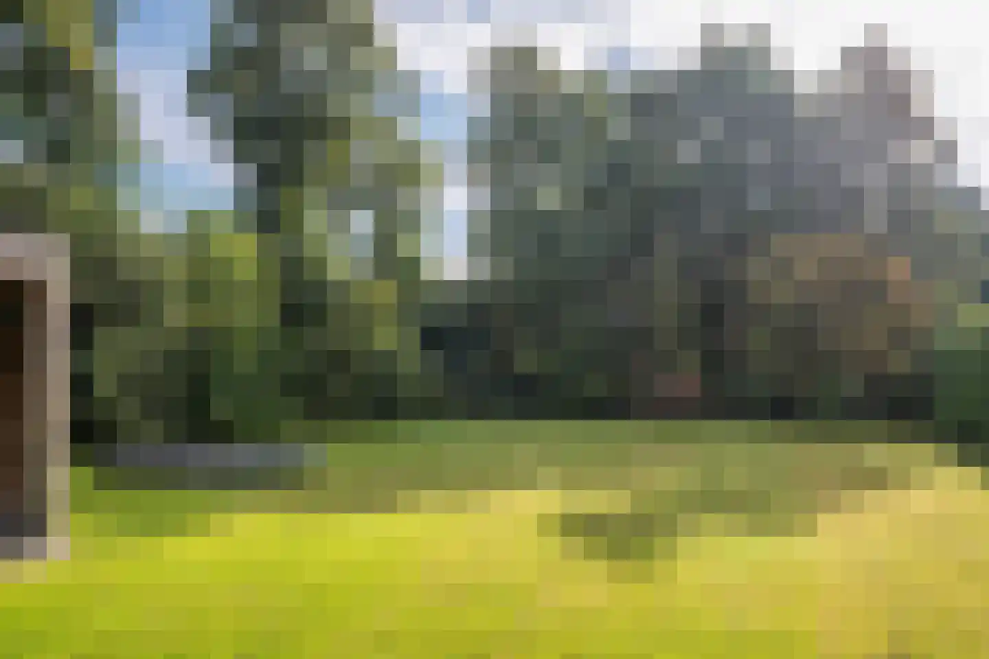 Koningsweg 5 Schoorl thumbnail 52