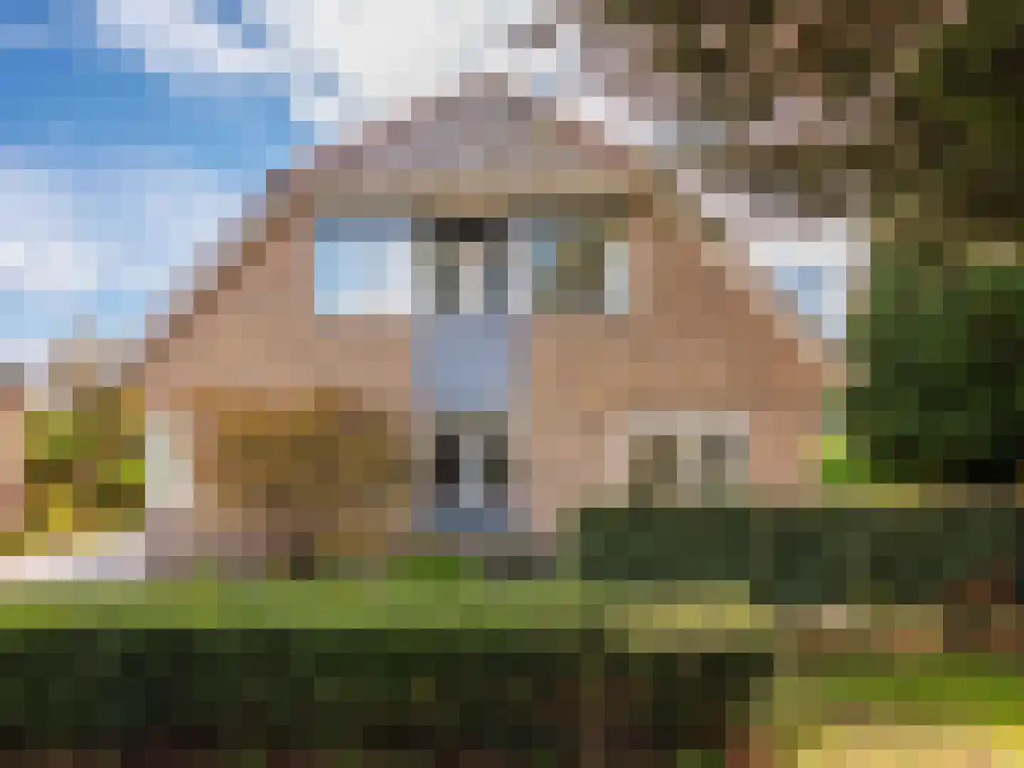 Koningsweg 5 Schoorl thumbnail 53